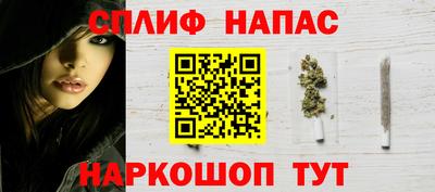 амф Гай