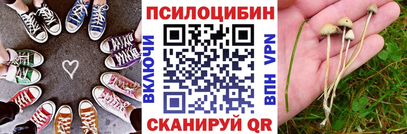 Псилоцибиновые грибы Magic Shrooms  Ленинск-Кузнецкий 