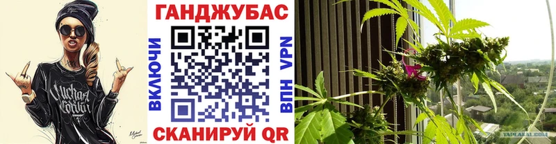 Бошки марихуана тримм Ленинск-Кузнецкий